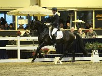 Don Tango 201113_1786